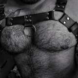 bearzacerza from onlyfans