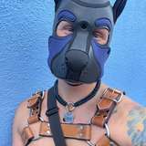 pupchord from onlyfans
