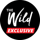 wildexclusivefree from onlyfans